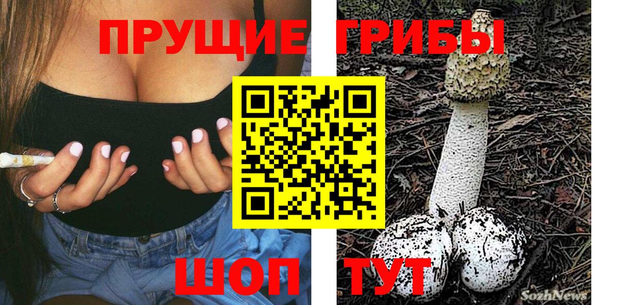 Псилоцибиновые грибы ЛСД Тихвин