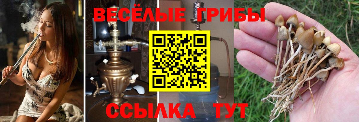 Галлюциногенные грибы MAGIC MUSHROOMS  Вход с VPN  Галлюциногенные грибы MAGIC MUSHROOMS  Тихвин 